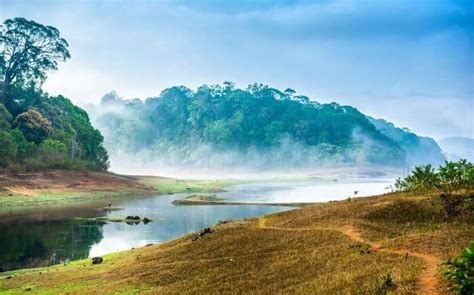 Periyar National Park Your 2023 Guide To Plan A Day Tour In Keralas Lap
