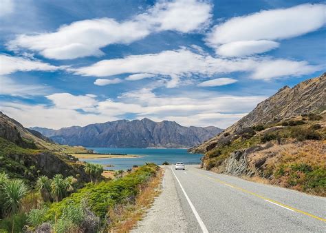 Traveling New Zealand Skepsi Id