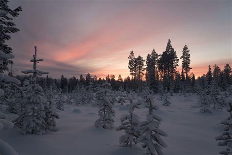 Forest Trees Snow Landscape Wallpapers Hd Desktop And Mobile