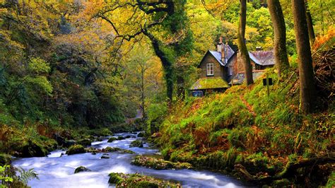House On Forest River