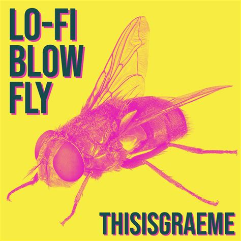 Lo Fi Blowfly By Thisisgraeme Is Out Now On Spotify Youtube And All