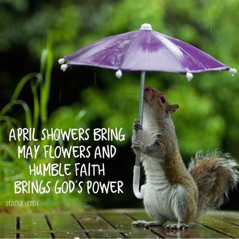 A Squirrel Is Holding An Umbrella In The Rain While Standing On Its