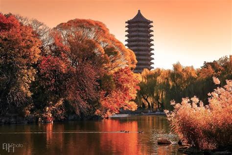 Peking University Campus Tour Fsikologi