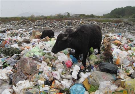 دفع زباله در روستاها ایران دهیار