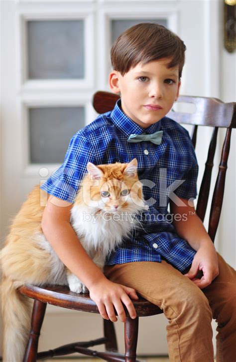 Boy With A Cat Stock Photo Royalty Free Freeimages