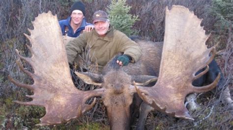 German Hunter Bags Unbelievable Large Moose In Nwt Cbc News