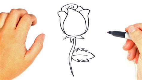 Cómo Dibujar Un Rosa Paso A Paso Dibujo Fácil De Rosa