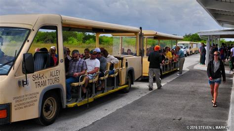 Everglades National Park Shark Valley Tram Tour