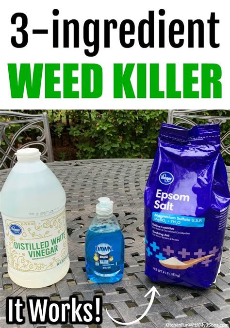 Homemade Weed Killer Safe For Animals Homemade Life