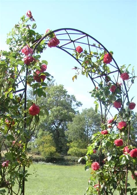 Leanders Lovely Rusted Iron Rose Arch Has A Traditional Latticework