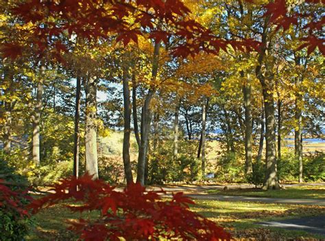 🔥 44 New England Fall Foliage Wallpaper Wallpapersafari