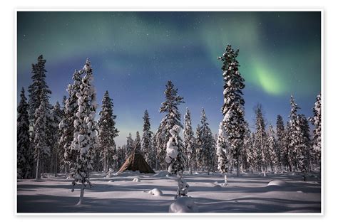 Northern Lights Over A Snow Covered Forest Print By Matthew Williams