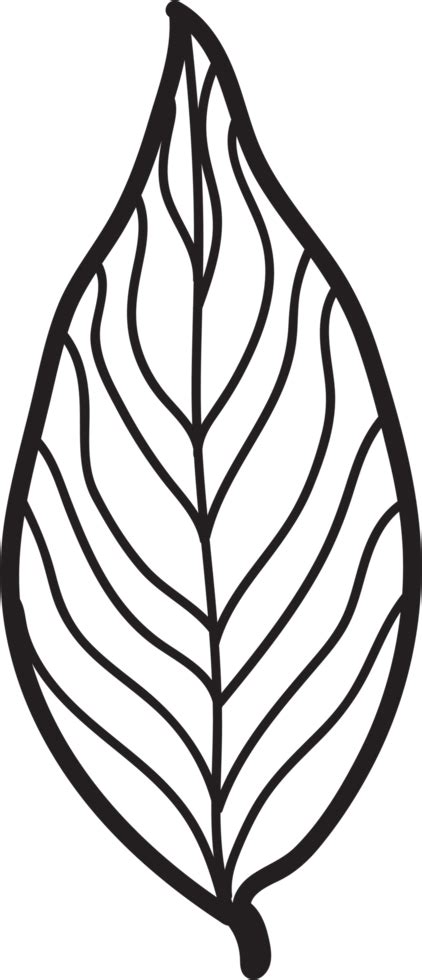 Simplicity Leaf Freehand Continuous Line Drawing Flat Design 11461119 Png