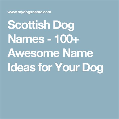 Scottish Dog Names 100 Awesome Name Ideas For Your Dog Dog Names