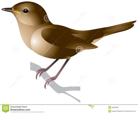 Clip Art Nightingale 20 Free Cliparts Download Images On Clipground 2023
