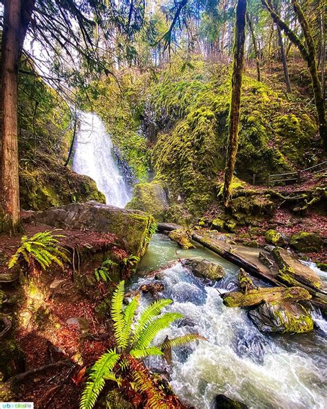 Waterfalls In Southern Oregon Susan Creek Falls Urban