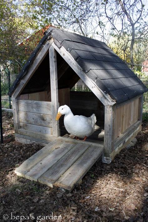Bepas Garden A Duck House Made From Recycled Materials Duck