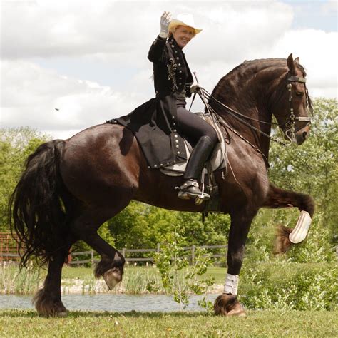 The Magical World Of Dancing Horses Friesians Horses Horse Rider