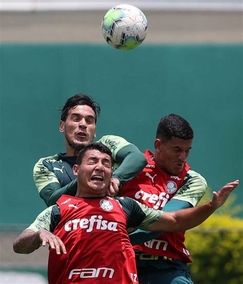 pensando na partida contra o ceará verdão inicia preparação verdazzo