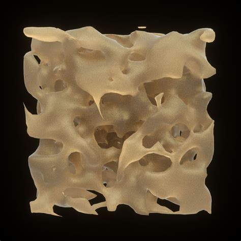 Sponge Spongy Bone Structure 3d Model 9 Stl Obj 3ds Fbx C4d