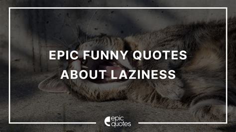 Epic Funny Quotes About Laziness During Quarantine Epic Quotes