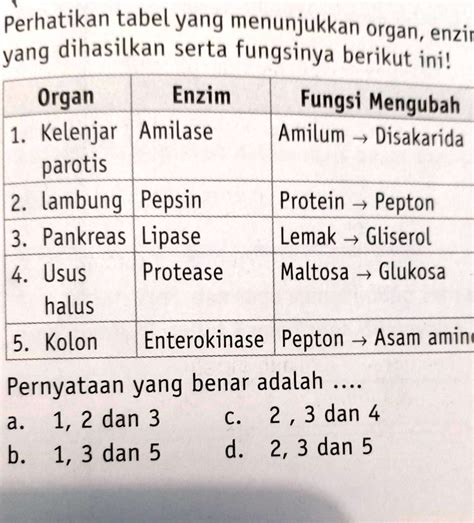 Solved Perhatikan Tabel Yang Menunjukan Organ Enzim Yang Dihasilkan