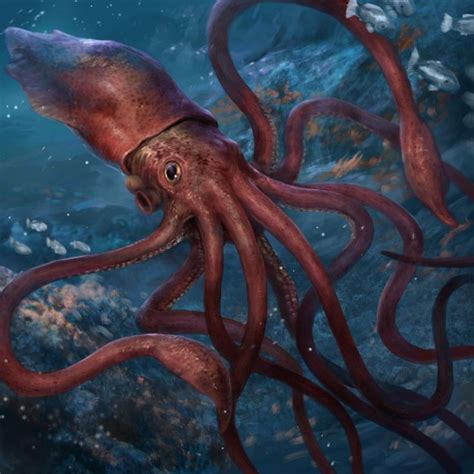 Giant Squid By Herckeim On Deviantart In 2022 Giant Squid Scary Sea