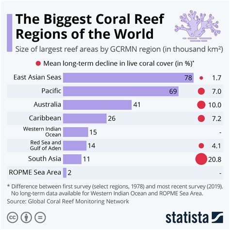 How Is Climate Change Affecting Coral And Why Does It Matter World