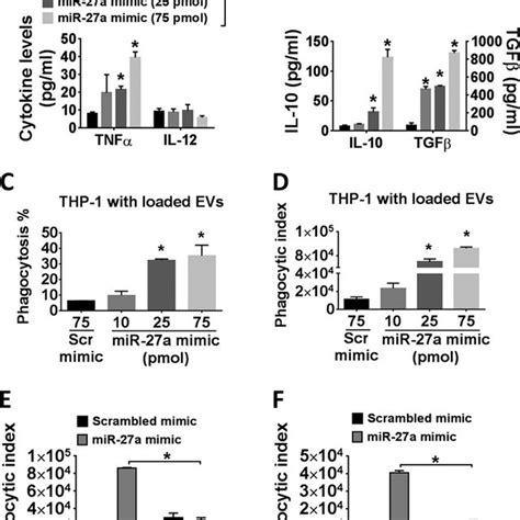 Characterization Of Evs From Thp 1 Human Monocytes In Human Monocytic