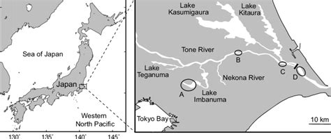 Enrich your blog with quality map graphics. Map of the study area in the Tone River system in Japan. The circles... | Download Scientific ...