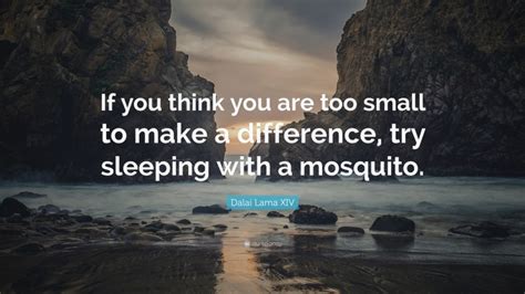 Dalai lama quotes life lessons. Dalai Lama XIV Quote: "If you think you are too small to make a difference, try sleeping with a ...