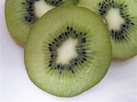 Zespri new zealand kiwi fruit information. How to Make Kiwi Fruit Jam | Delishably