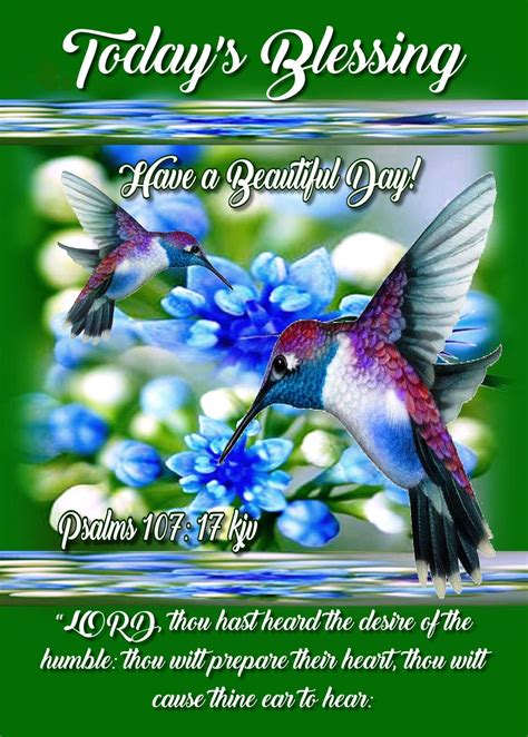Hummingbird Todays Blessing Have A Beautiful Day Pictures Photos