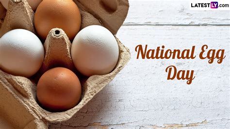Festivals And Events News When Is National Egg Day 2023 Know Date And