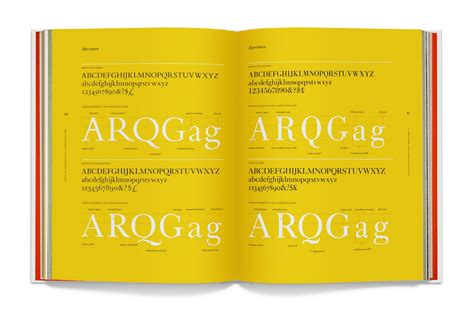 Sta 100 The Designers Dictionary Of Type