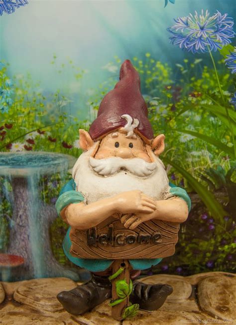 1000 Images About Gnomes And Other Garden Creatures On Pinterest