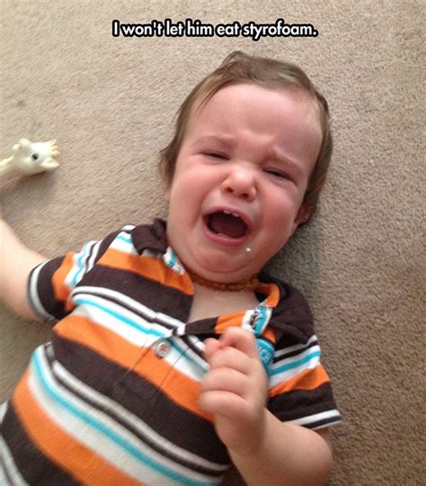 36 Kids Throwing Temper Tantrums Youll Crack Up When You Find Out