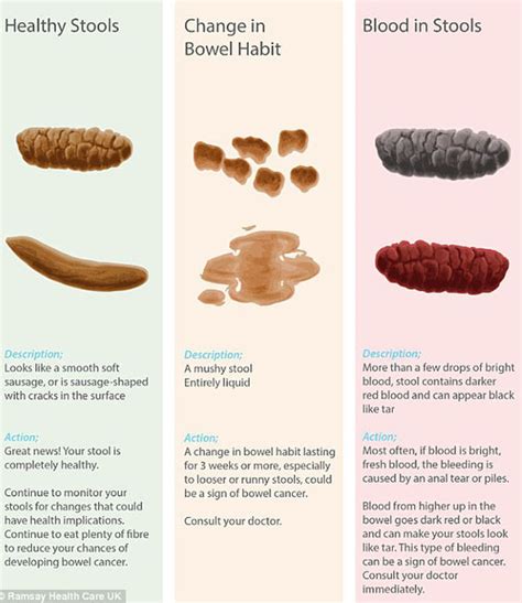 What Does Your Poo Say About You And Your Health Uk