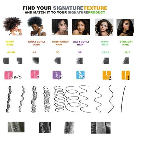 Layered straight hair style for girls. Hair structure | Hair type chart, Natural hair types ...