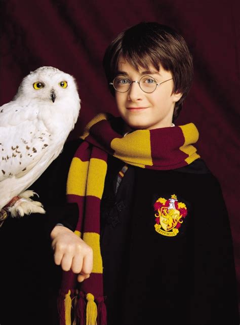 Harry Potter Hedwig Wallpapers Top Free Harry Potter Hedwig