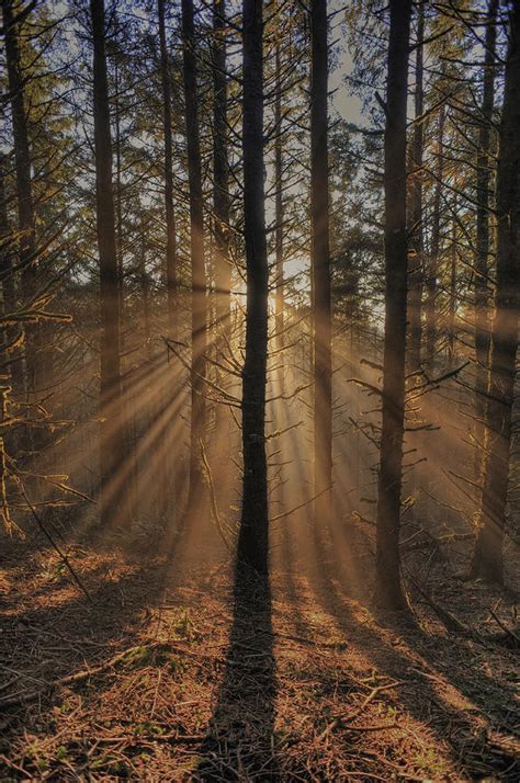 Dance Of The Sunbeams Photograph By Randall Scholten Fine Art America