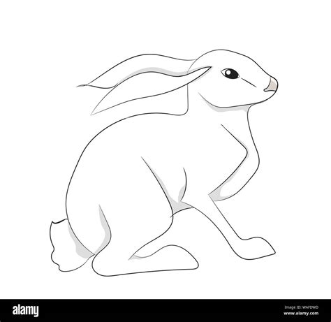 white hare vector white background stock vector image and art alamy