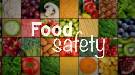 Iso 220002018 Haccp Food Safety Internal Audit Tips The Qhse Group