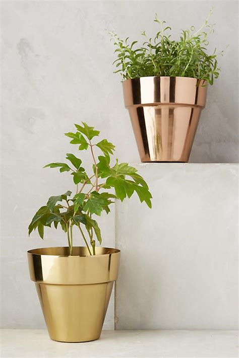 Indoor Plant Pots Marks And Spencer Kgarden Plant