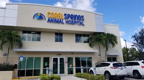 Best Veterinary Hospital In Coral Springs, FL | Coral Springs Animal