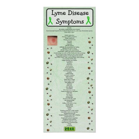 Lyme Disease Symptoms Chart Poster Educational Lyme