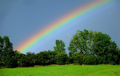 Arco Iris Sobre árboles Foto De Archivo Imagen De Granja 15745034