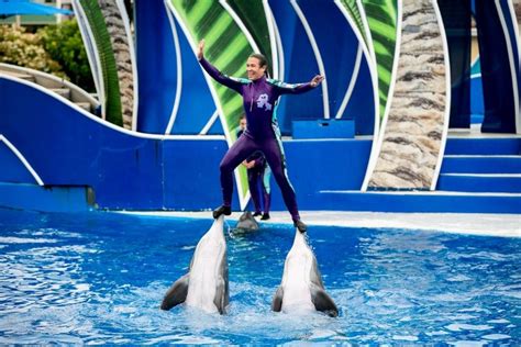 Peta Claims Victory After Seaworld Says No To Trainers Riding Atop