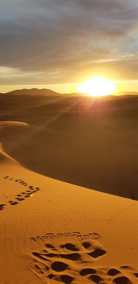 Sahara Desert Tozeur 2019 Ce Quil Faut Savoir Pour Votre Visite