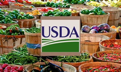 Free Usda Posters Whole Mom